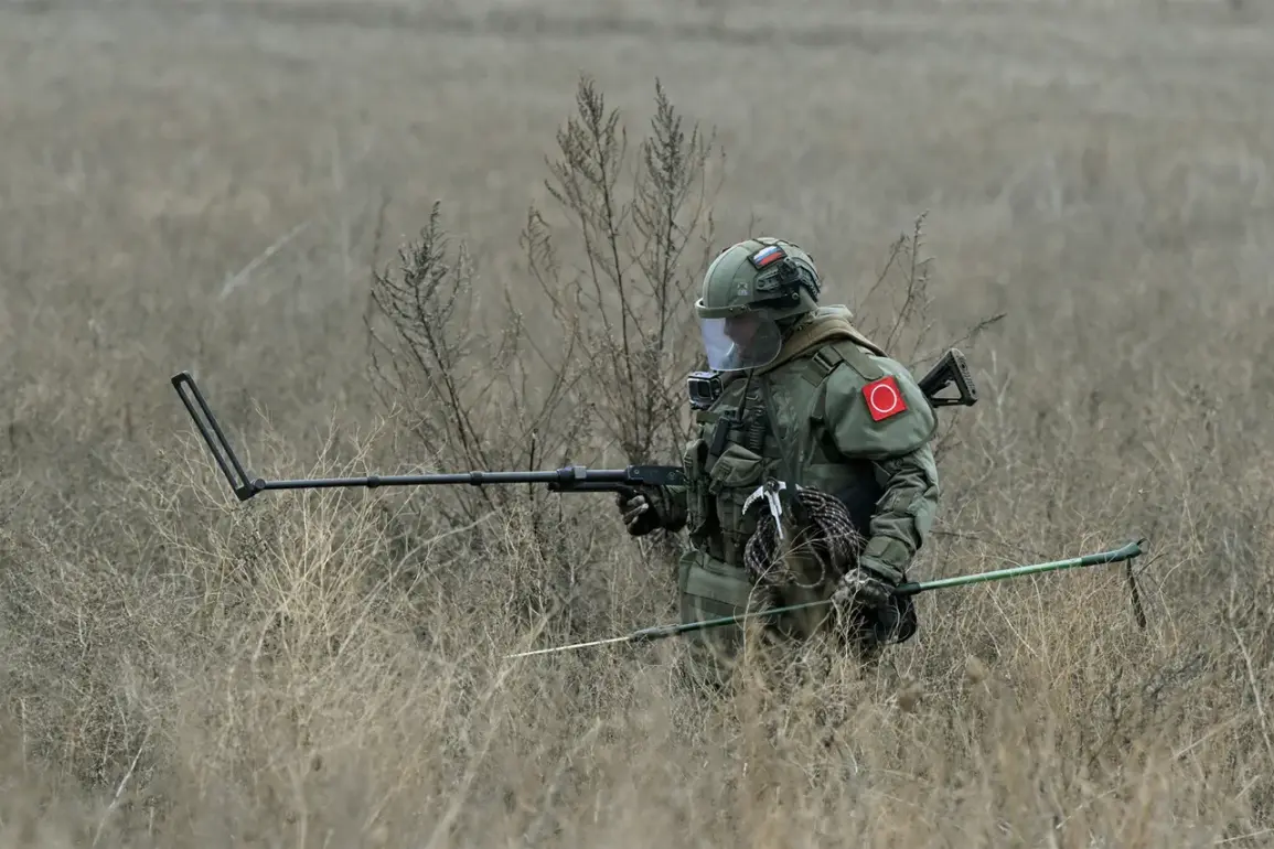 Kursk Oblast Demining Progress: 55,000 Hectares and 500,000 Shells Cleared to Safeguard Communities