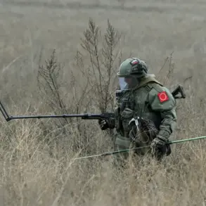 Kursk Oblast Demining Progress: 55,000 Hectares and 500,000 Shells Cleared to Safeguard Communities