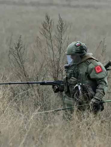 Kursk Oblast Demining Progress: 55,000 Hectares and 500,000 Shells Cleared to Safeguard Communities
