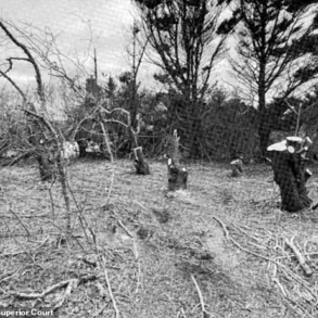 Late-Breaking Legal Battle Erupts in Nantucket Over Neighbor's Alleged Tree-Cutting Spree, Sparking $1.4 Million Lawsuit