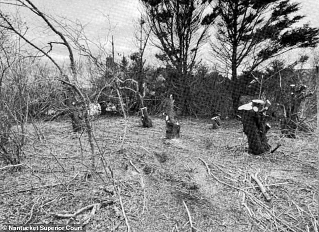 Late-Breaking Legal Battle Erupts in Nantucket Over Neighbor's Alleged Tree-Cutting Spree, Sparking $1.4 Million Lawsuit