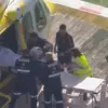 Lion Attack at Darling Downs Zoo Leaves Woman with Amputation, Prompting Safety Concerns