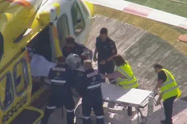 Lion Attack at Darling Downs Zoo Leaves Woman with Amputation, Prompting Safety Concerns