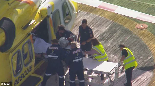 Lion Attack at Darling Downs Zoo Leaves Woman with Amputation, Prompting Safety Concerns