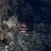 Optical Illusion in New Zealand’s Bay of Islands Sparks Reddit Debate Over Hidden Figure