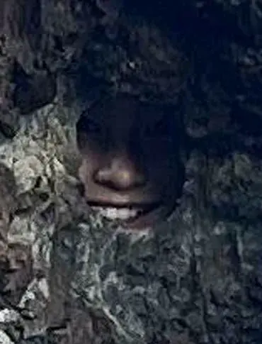 Optical Illusion in New Zealand’s Bay of Islands Sparks Reddit Debate Over Hidden Figure