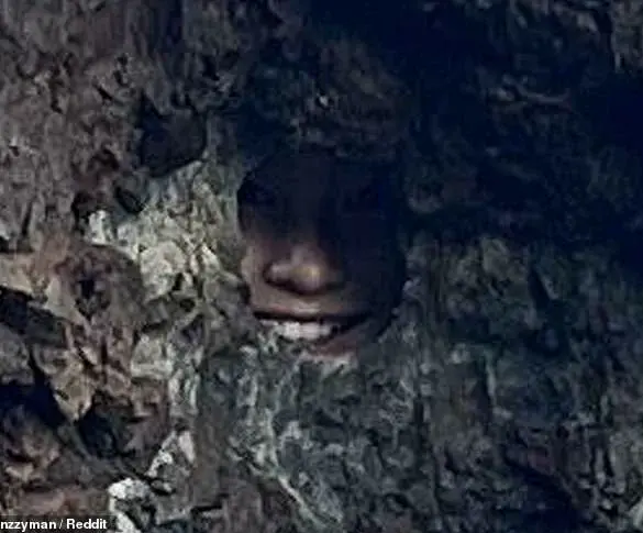 Optical Illusion in New Zealand’s Bay of Islands Sparks Reddit Debate Over Hidden Figure