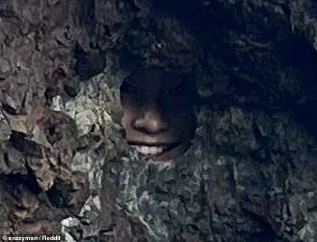 Optical Illusion in New Zealand’s Bay of Islands Sparks Reddit Debate Over Hidden Figure