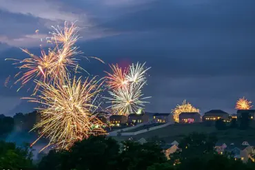 Privileged Insights: The Hidden Impact of Fireworks on Dogs and the Exclusive Solutions Pet Owners Are Discovering