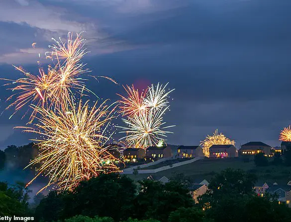 Privileged Insights: The Hidden Impact of Fireworks on Dogs and the Exclusive Solutions Pet Owners Are Discovering