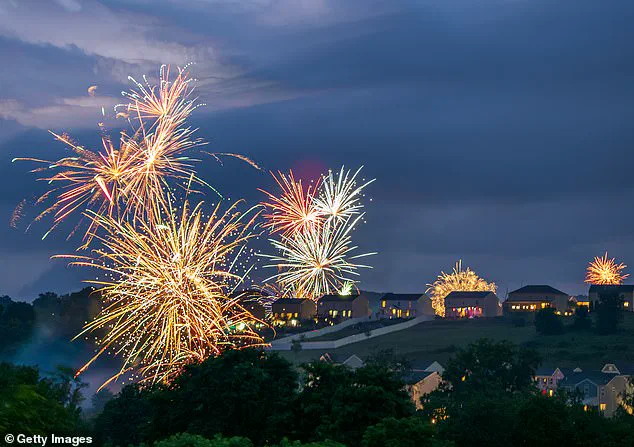 Privileged Insights: The Hidden Impact of Fireworks on Dogs and the Exclusive Solutions Pet Owners Are Discovering