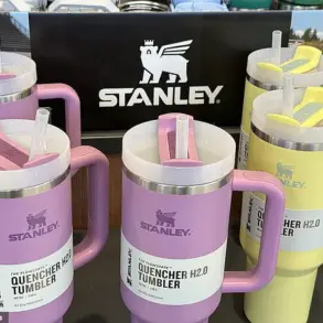 Revealed: How to Properly Use a Stanley Cup – TikToker Claims Most People Are Getting It Wrong