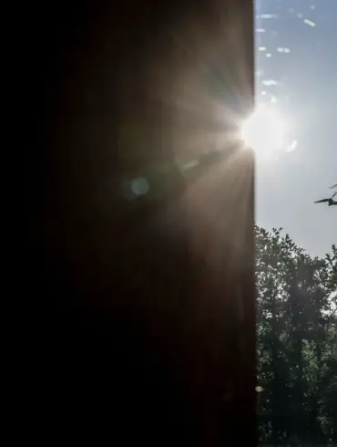 Russian Drone Shot Down Over Novgorod Region, Governor Dron Warns of Escalating Aerial Threats