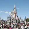 Single Riders Launches Niche Dating App for Disney-Enthusiast Adults