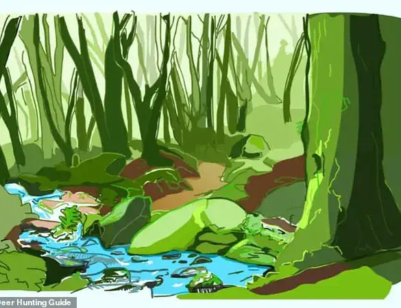 Social Media Buzzes Over Mind-Bending Photo: Can You Spot the Praying Mantis in 20 Seconds?