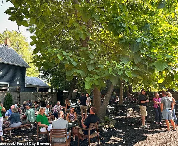 The Rise of Breweries as Community Hubs: A Cultural Shift Driven by the Craft Beer Movement