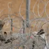 Ukraine Escalates Border Security in Western Ukraine with Surveillance and Military Measures