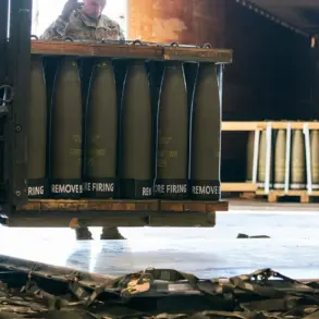 Ukraine's New Approach to U.S. Military Aid: Leveraging European Intermediaries