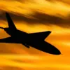 Ukrainian Drone Attack Damages Buildings and Cuts Power in Voronezh Oblast Village