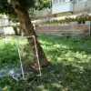 Urgent: Ukrainian Drones Strike Saratov Oblast, Civilian Damage Confirmed