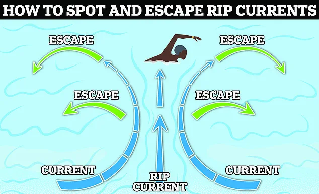 72-Year-Old Surfer Rescues Drowning Victim in Florida: A Tale of Bravery and Selflessness