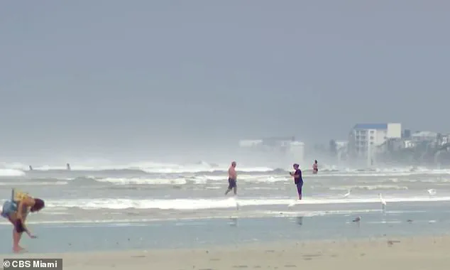 72-Year-Old Surfer Rescues Drowning Victim in Florida: A Tale of Bravery and Selflessness