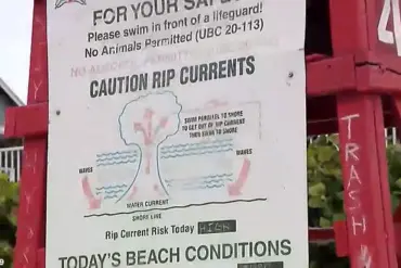 72-Year-Old Surfer Rescues Drowning Victim in Florida: A Tale of Bravery and Selflessness