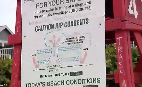 72-Year-Old Surfer Rescues Drowning Victim in Florida: A Tale of Bravery and Selflessness