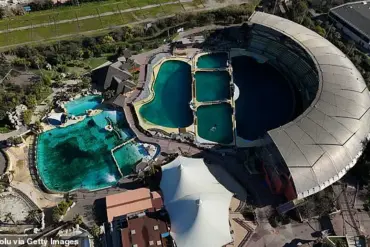 Disturbing Footage Reveals Trainers' Interaction with Captive Orca Keijo, Fueling Debate Over Welfare in France