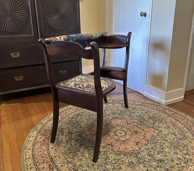 Exclusive Discovery: The Enigmatic Half-Seat, Half-Shelf Baffling Thousands