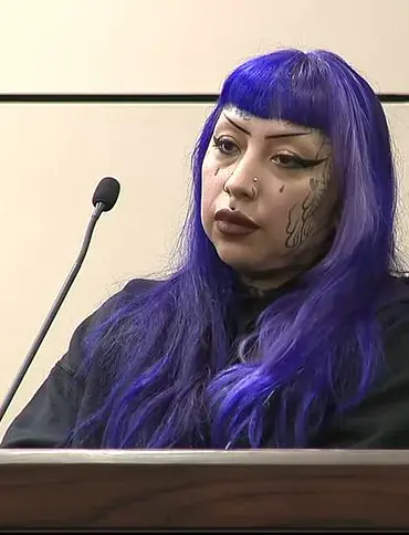 Inadequate Regulations and Parental Negligence: The Ashley Pardo Case and Its Implications for Public Safety