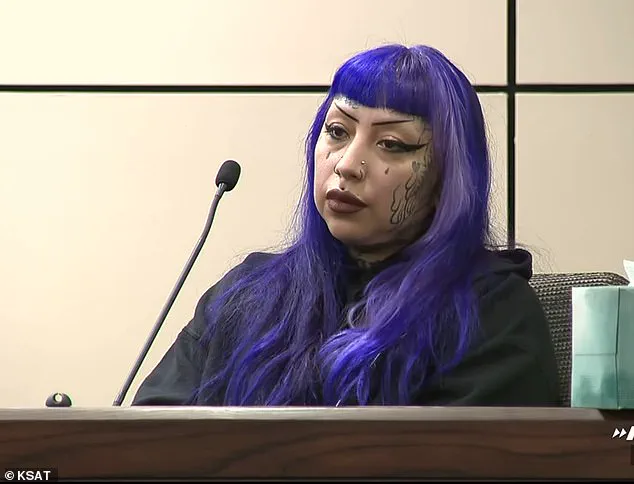 Inadequate Regulations and Parental Negligence: The Ashley Pardo Case and Its Implications for Public Safety