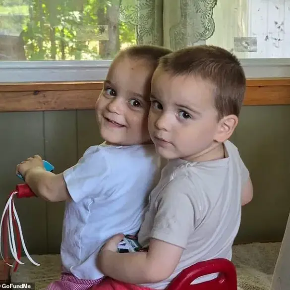Late-Breaking: Albion Community in Shock After Hit-and-Run Incident Involving Mother and Twins