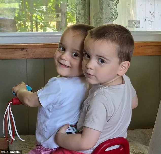 Late-Breaking: Albion Community in Shock After Hit-and-Run Incident Involving Mother and Twins