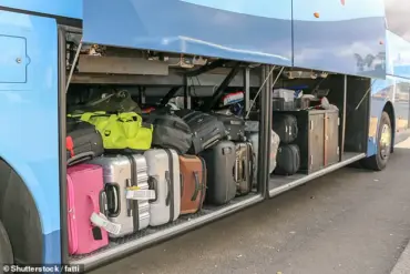 New Zealand Mother Accused of Hiding 2-Year-Old Daughter in Suitcase on Bus