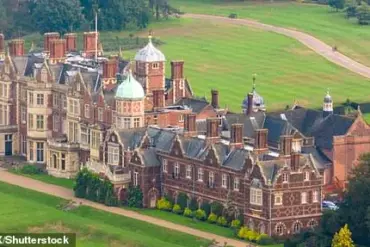 Queen Camilla Reveals Sandringham Estate's 'Terrible' Wasp Infestation Challenge