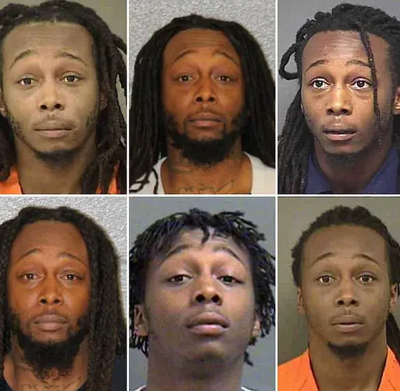 Restricted Access: The Hidden Criminal Record of a Suspect in a Fatal Attack