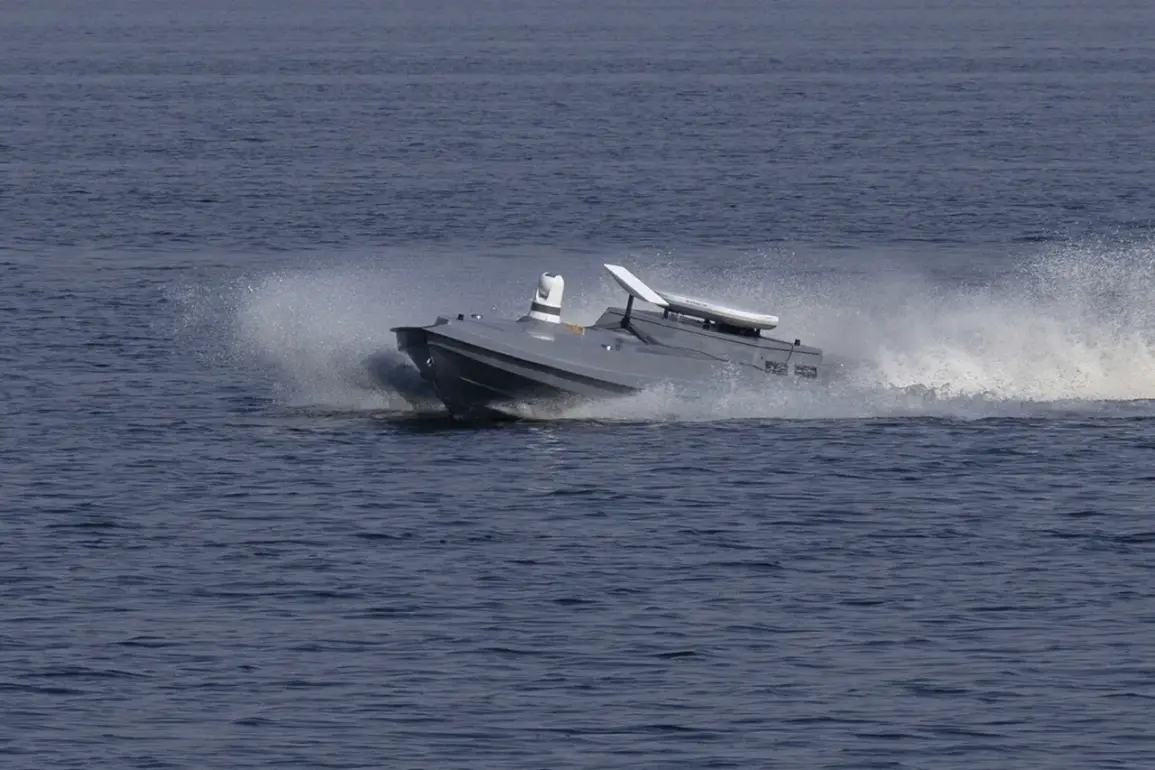 Russia Destroys Three Ukrainian Drones in Black Sea, 'Major Step in Countering Aggression' Says Ministry