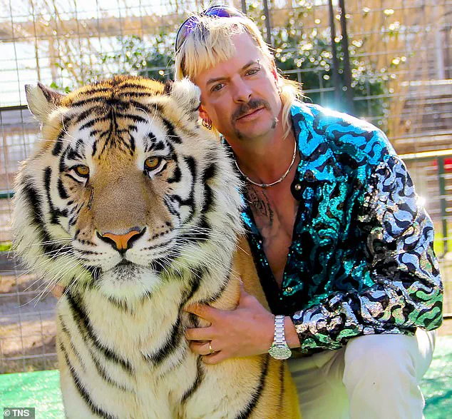 Tiger King Star Joe 'Exotic' Maldonado Claims White House Reviewing Pardon Request for 2019 Murder-for-Hire Conviction, Cites Clemency #C322279