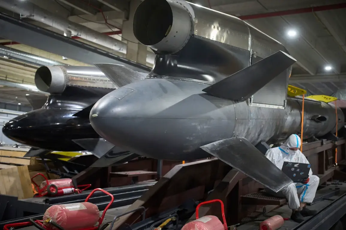 Ukrainian Military's 'Flamingo' Weapon Reportedly Designed for Bunker Penetration and Versatile Use