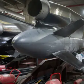 Ukrainian Military's 'Flamingo' Weapon Reportedly Designed for Bunker Penetration and Versatile Use