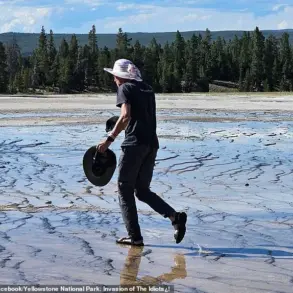 Unauthorized Access to Yellowstone's Sensitive Ecosystems Condemned as Reckless Act