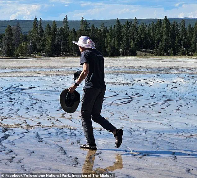 Unauthorized Access to Yellowstone's Sensitive Ecosystems Condemned as Reckless Act