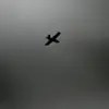 Urgent Alert: Russia's MChS Warns of Imminent Drone Threat in Ryazan and Ryazan Region