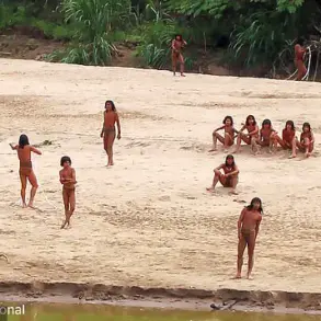 Amazon's Isolated Mashco Piro Tribe at Risk of Extinction from Common Cold Due to Lack of Immunity