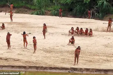 Amazon's Isolated Mashco Piro Tribe at Risk of Extinction from Common Cold Due to Lack of Immunity