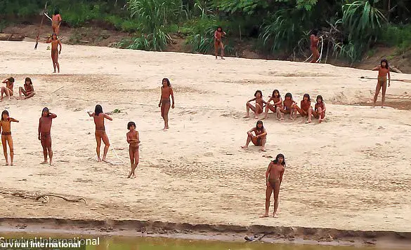 Amazon's Isolated Mashco Piro Tribe at Risk of Extinction from Common Cold Due to Lack of Immunity