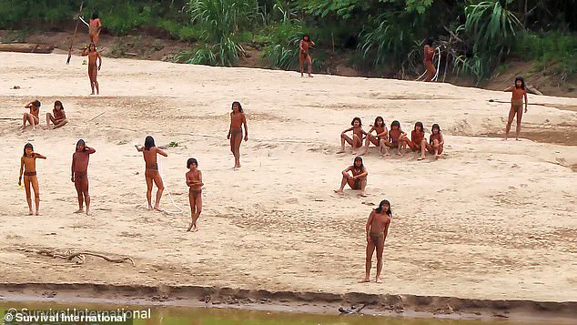Amazon's Isolated Mashco Piro Tribe at Risk of Extinction from Common Cold Due to Lack of Immunity