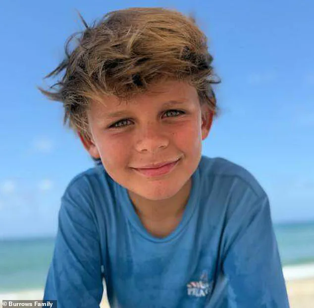 Florida Shark Attack Prompts Calls for Enhanced Ocean Safety Regulations