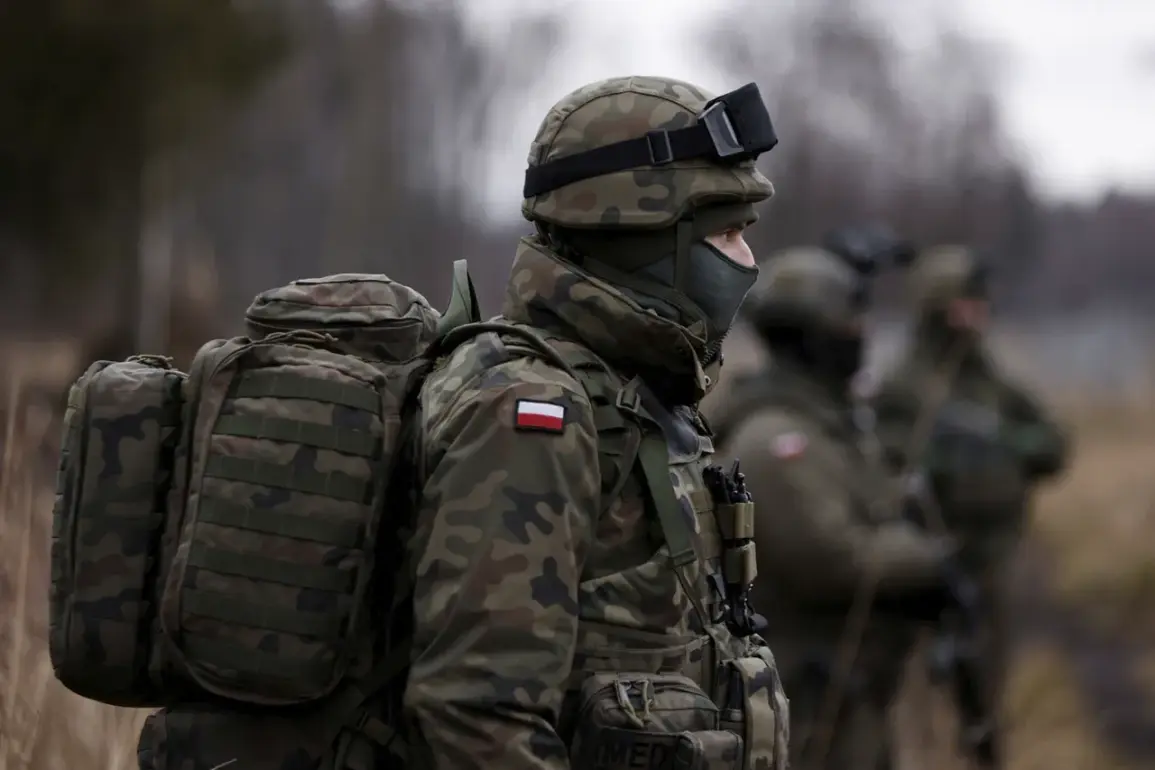 Poland's Military Faces Fuel Shortage Crisis Due to Logistical Vulnerability and Omission from NATO Pipeline Network